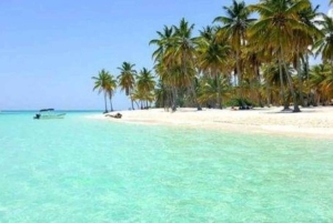VIP Saona Island Tour: Drink and Food Included