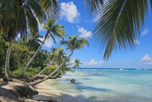 VIP tour to Saona Island by speedboat with a visit to paradise beaches