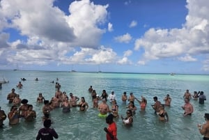 VIP tour to Saona Island by speedboat with a visit to paradise beaches