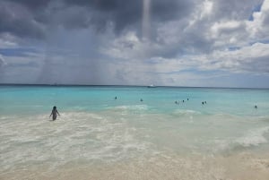 VIP tour to Saona Island by speedboat with a visit to paradise beaches