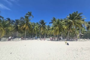 VIP tour to Saona Island by speedboat with a visit to paradise beaches
