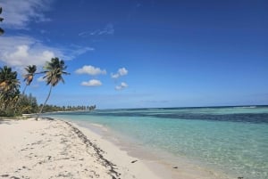 VIP tour to Saona Island by speedboat with a visit to paradise beaches