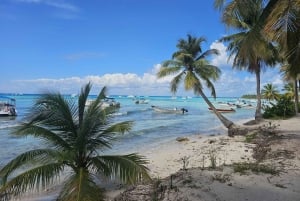VIP tour to Saona Island by speedboat with a visit to paradise beaches