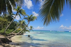 VIP tour to Saona Island by speedboat with a visit to paradise beaches
