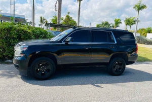 Vip Transport & Lyxbilstjänster I (PUJ) Till Hotell