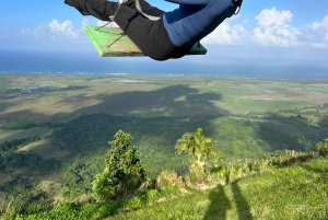 Avistamiento de ballenas y safari a la Montaña Redonda