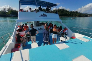 Avistamiento de ballenas y safari a la Montaña Redonda