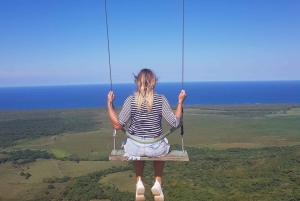 Avistamiento de ballenas y safari a la Montaña Redonda