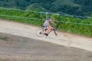 Avistamiento de ballenas y safari a la Montaña Redonda