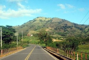 Avistamiento de ballenas y safari a la Montaña Redonda
