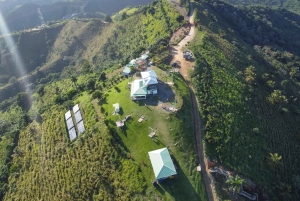 Avistamiento de ballenas y safari a la Montaña Redonda