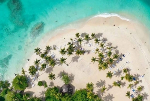 Samana : Excursion guidée d'une journée avec déjeuner buffet et observation des baleines