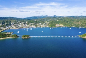 Samana : Excursion guidée d'une journée avec déjeuner buffet et observation des baleines