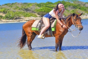 Passeggiata a cavallo selvaggio a Punta Cana