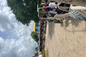 Villi Off-Road Dune Buggy -seikkailu Punta Canassa