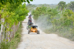 Wild Tiger Buggy: The Best Buggy Excursions in Punta Cana