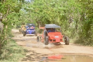 Wild Tiger Buggy: The Best Buggy Excursions in Punta Cana