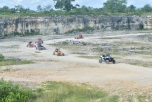 Wild Tiger Buggy: The Best Buggy Excursions in Punta Cana