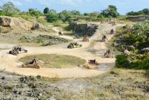 Wild Tiger Buggy: The Best Buggy Excursions in Punta Cana