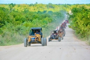 Wild Tiger Buggy: The Best Buggy Excursions in Punta Cana