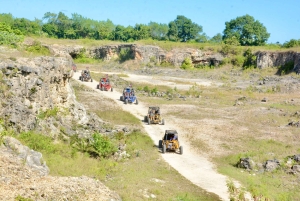Wild Tiger Buggy: The Best Buggy Excursions in Punta Cana
