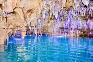 Wild Tiger Buggy: The Best Buggy Excursions in Punta Cana