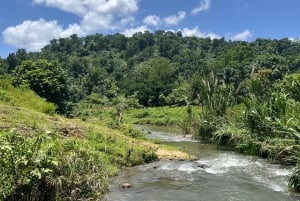 Yamasá: Learn about the Taíno Culture from Local Artisans