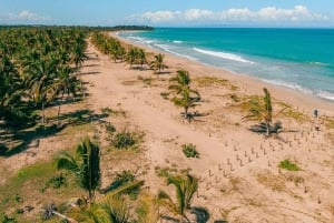 Zip Line Playa Esmeralda With Redonda Mountain