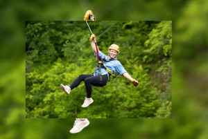 Aventure en tyrolienne dans la forêt tropicale