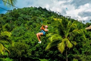 Rainforest Ziplining Adventure