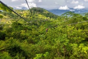 Aventura en tirolina por la selva tropical