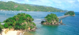 Whale Watching - Samaná Bay