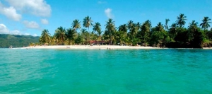 Whale Watching - Samaná Bay