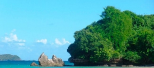 Whale Watching - Samaná Bay