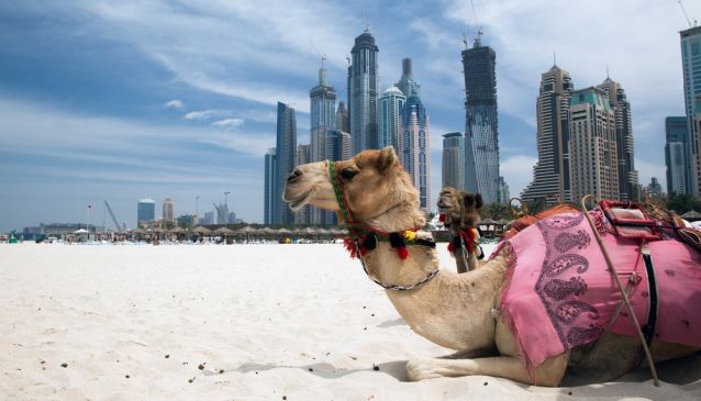 Dubai's Top 5 Desert Distractions