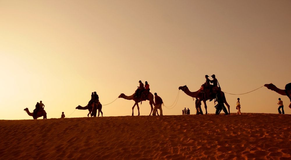 Camels trekking across a dune
