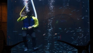 Check out the marine life & swim with the fish