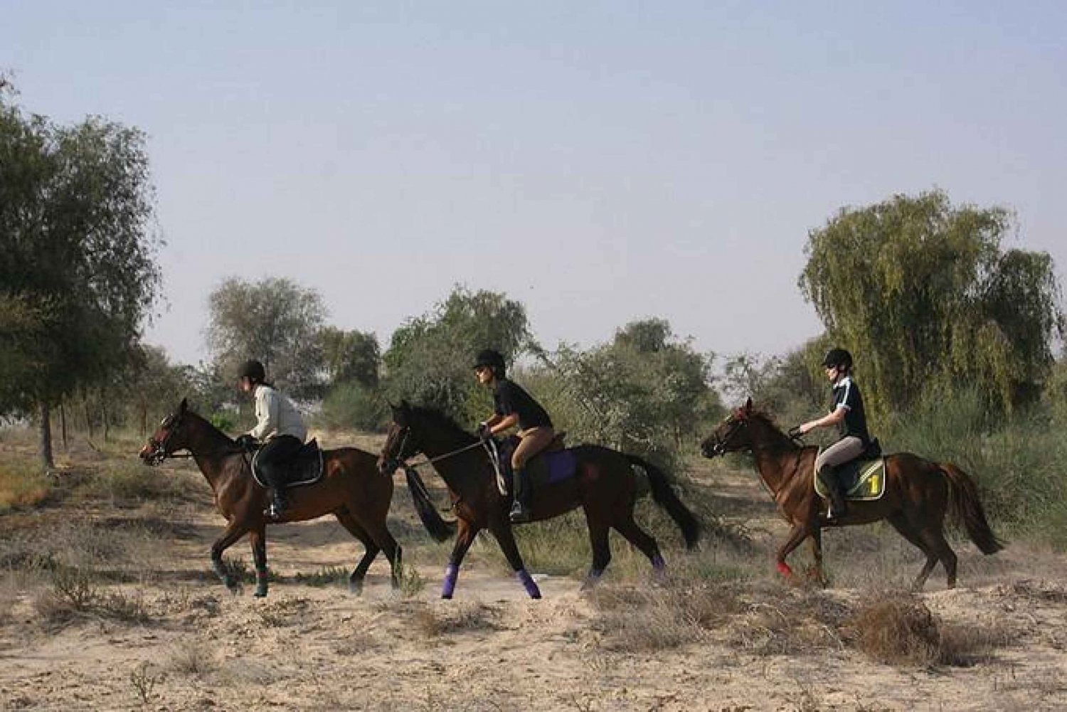 1 eller 1,5 times tur på hesteryg gennem Dubais ørken