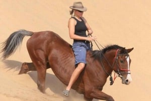 Passeio a cavalo de 1 ou 1,5 horas no Parque do Deserto de Dubai