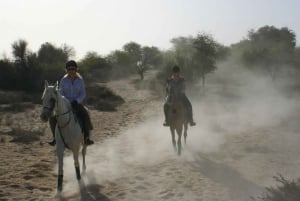 Parco Mushrif di Dubai: giro a cavallo nel deserto