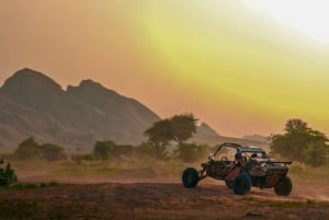 Da Dubai: Esperienza Zerzura Dune Buggy + Scoperta dei fossili