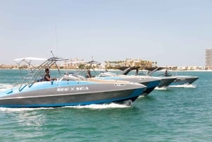 Midnattens magi 2026: Dubais exklusiva fyrverkerikryssning