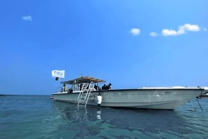 3 dyk i Fujairah (inkl. overnatning) + transport fra Dubai + grill