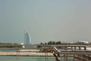 4-timers luksus tur til Dubai