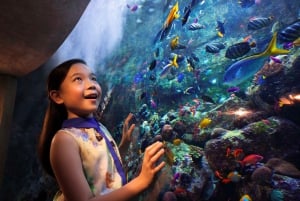 5-Day Pass: Hop-On Hop-Off, Lost World Aquarium, Dubai Frame