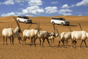 7-Hour Platinum Desert Safari from Dubai