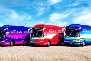 Abu Dhabi: Transfer from/to Airport & Dubai Ibn Battuta Mall