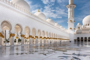 Visita di Abu Dhabi e del Tempio BAPS
