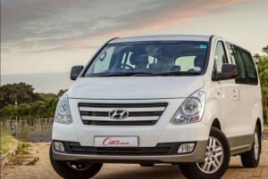 Abu Dhabi Tour Full Day - Grand Mosuqe, Louvre Museum & More