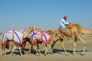 Al Ain: Full-Day Tour from Dubai